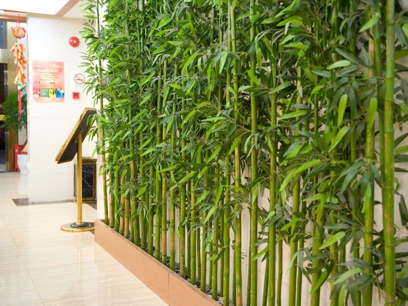 Shanghai Amersino Hotel Екстериор снимка